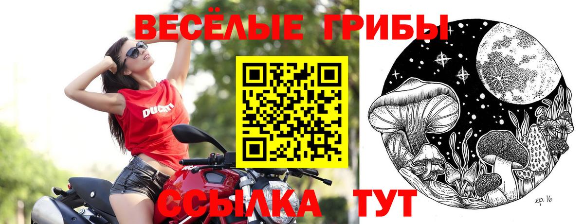 Псилоцибиновые грибы MAGIC MUSHROOMS  Вход с VPN  Партизанск  как найти наркотики  Псилоцибиновые грибы GOLDEN TEACHER 